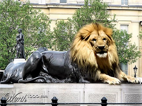 Photoshop Design by boblati