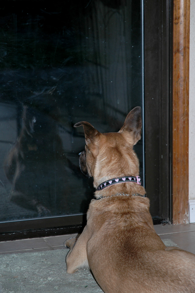 Photography by cameronsangel for DesignCrowd (Community Contests) | Design #8950582