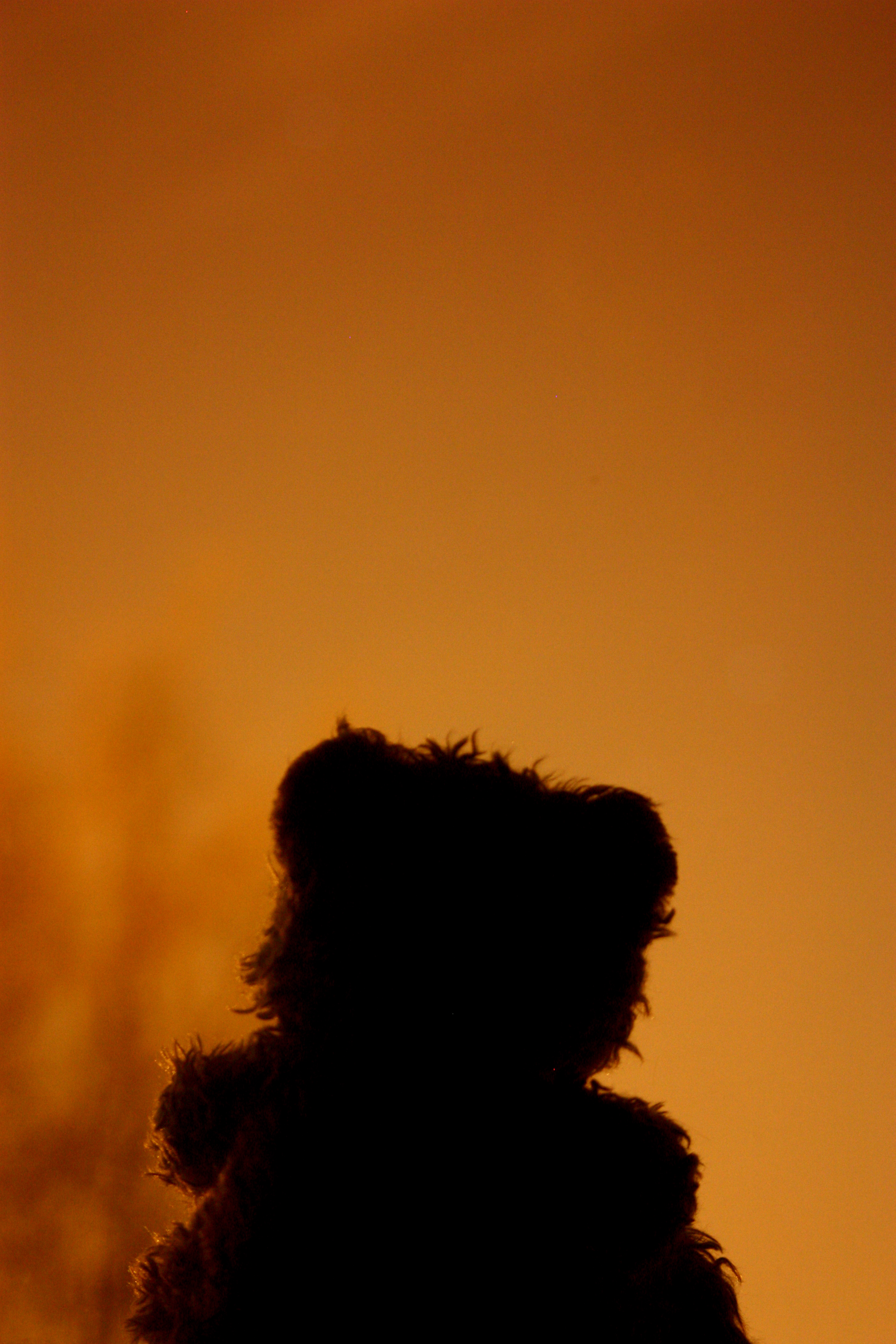 Photography by tHillbilly for DesignCrowd (Community Contests) | Design #8950634