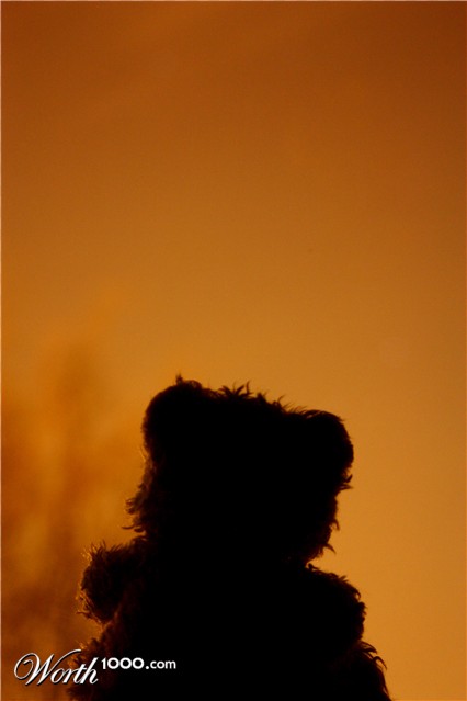 Photography by tHillbilly