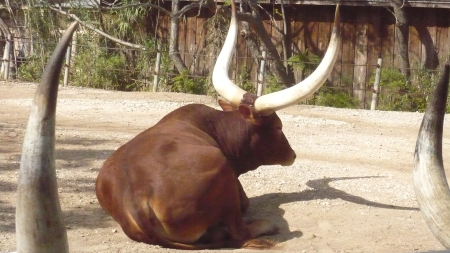 Photography by althor1170 for DesignCrowd (Community Contests) | Design #8950605