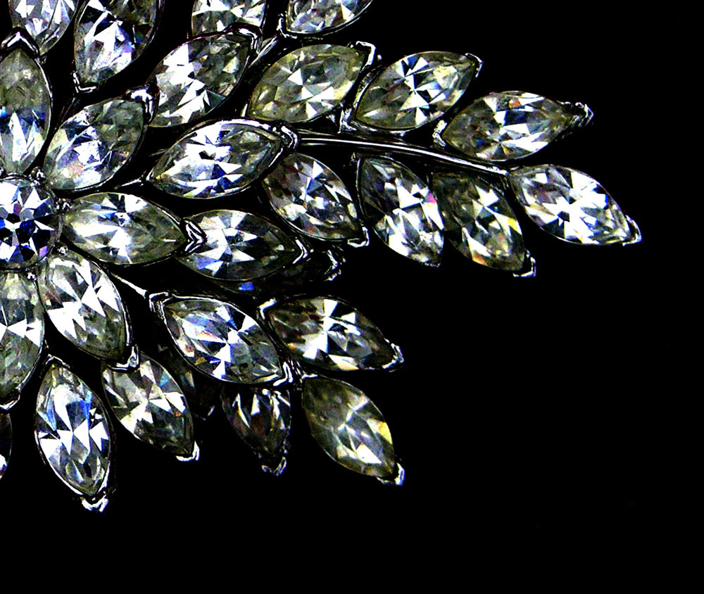 Photography by cliknsnap for DesignCrowd (Community Contests) | Design #8947217