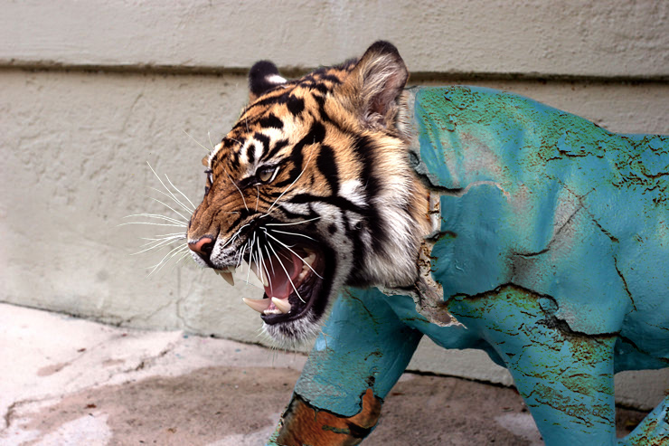 Design Photoshop par stormr pour DesignCrowd (Community Contests) | Design #8949169