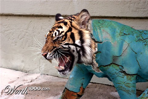 Photoshop Design by stormr