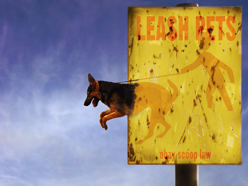 Photoshop Design by J0llyR0ger for DesignCrowd (Community Contests) | Design #8949174