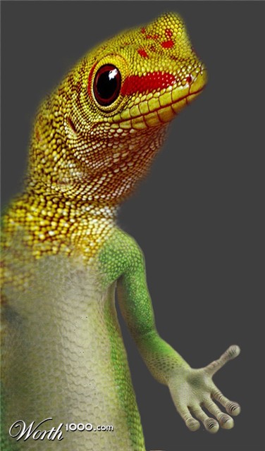 Photoshop Design by janefrog