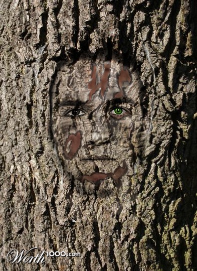 Photoshop Design by T800CRees
