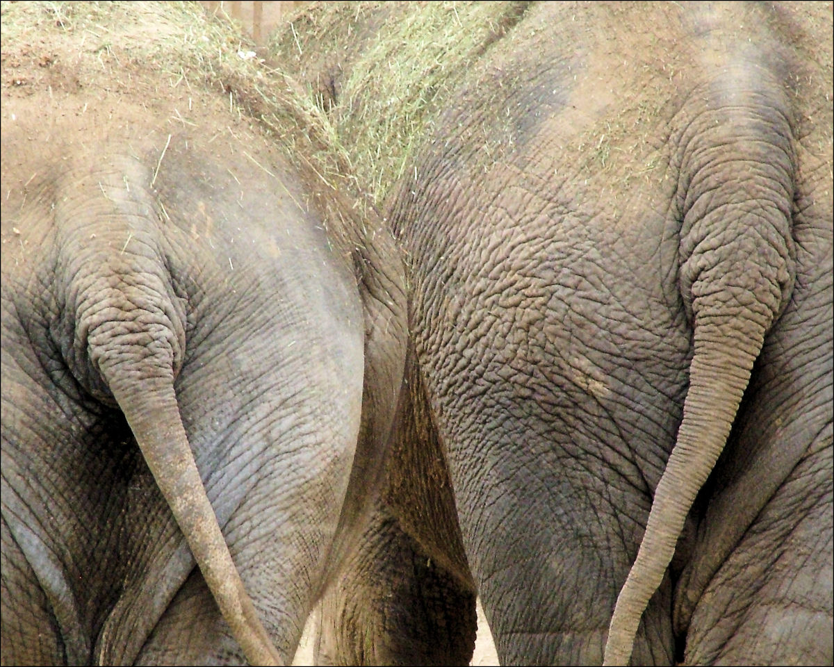 Photography by mmc9496 for DesignCrowd (Community Contests) | Design #8950541