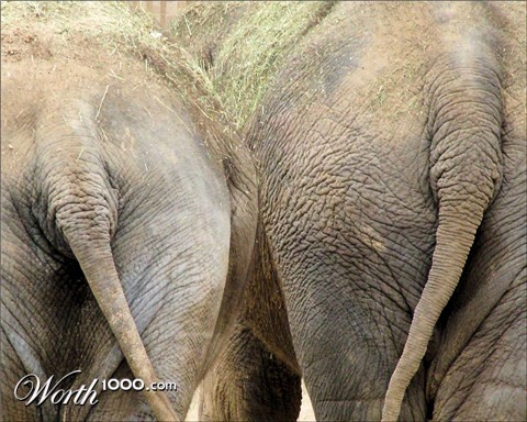 Photography by mmc9496