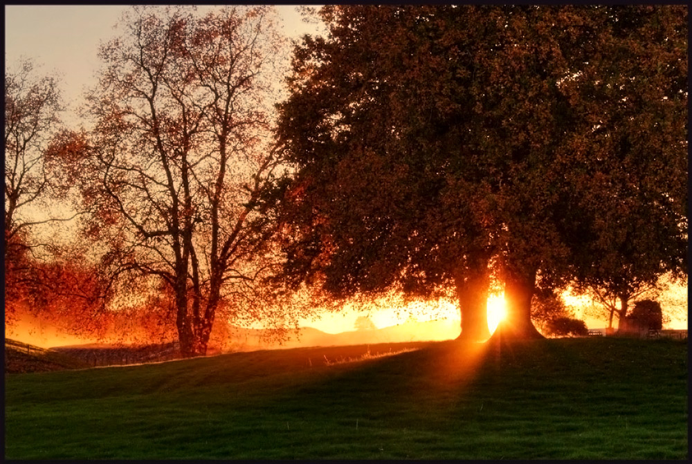 Photography by essjaynz for DesignCrowd (Community Contests) | Design #8956699