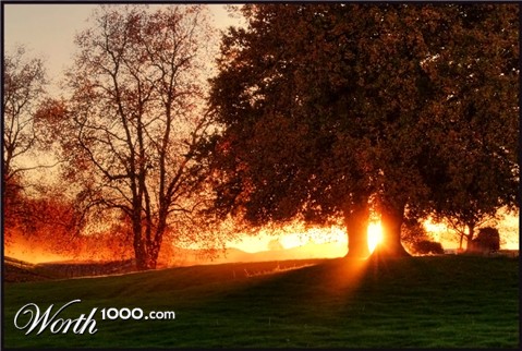 Photography by essjaynz