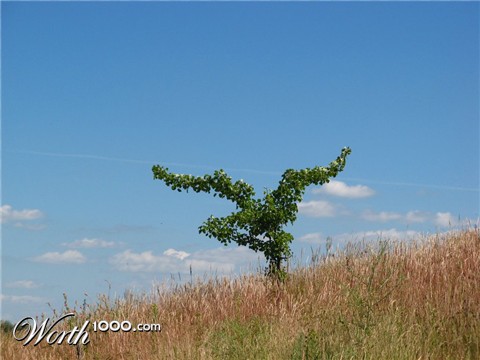 Photography by prudnikoff