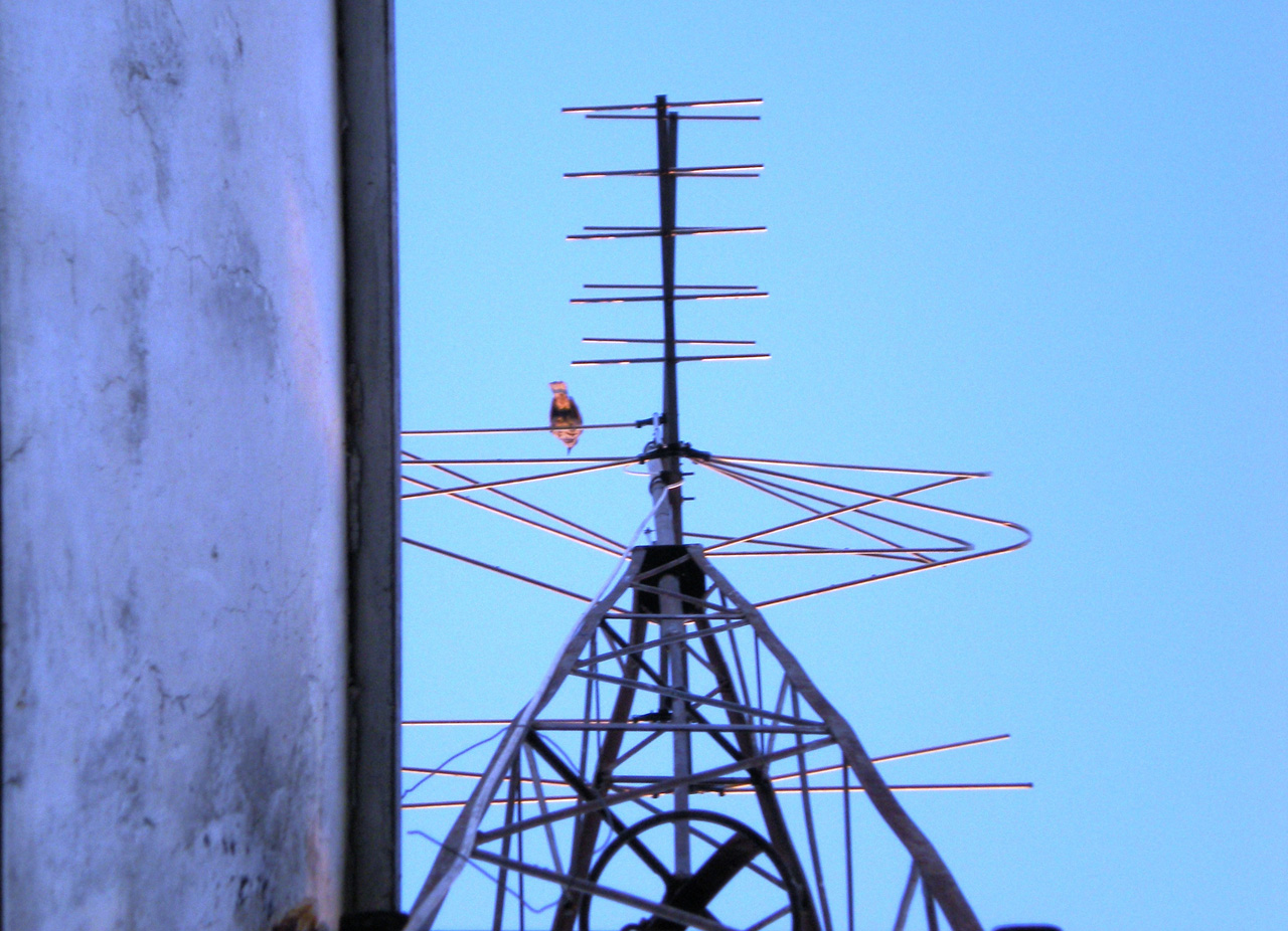 Fotografía por TRANSCENDENTalMAN para DesignCrowd (Community Contests) | Diseño #8948666