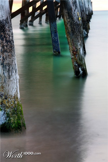 Photography by Iamnotworthy