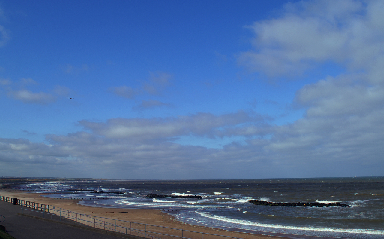 Photography by lunaryuna for DesignCrowd (Community Contests) | Design #8943811