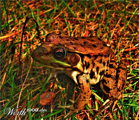 Photography by spincast1123