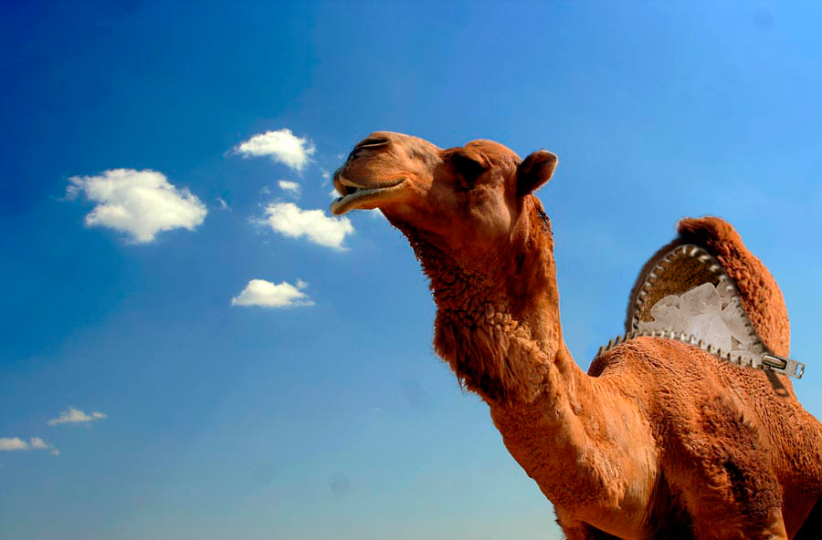 Photoshop Design by Larssonpsd for DesignCrowd (Community Contests) | Design #8947491