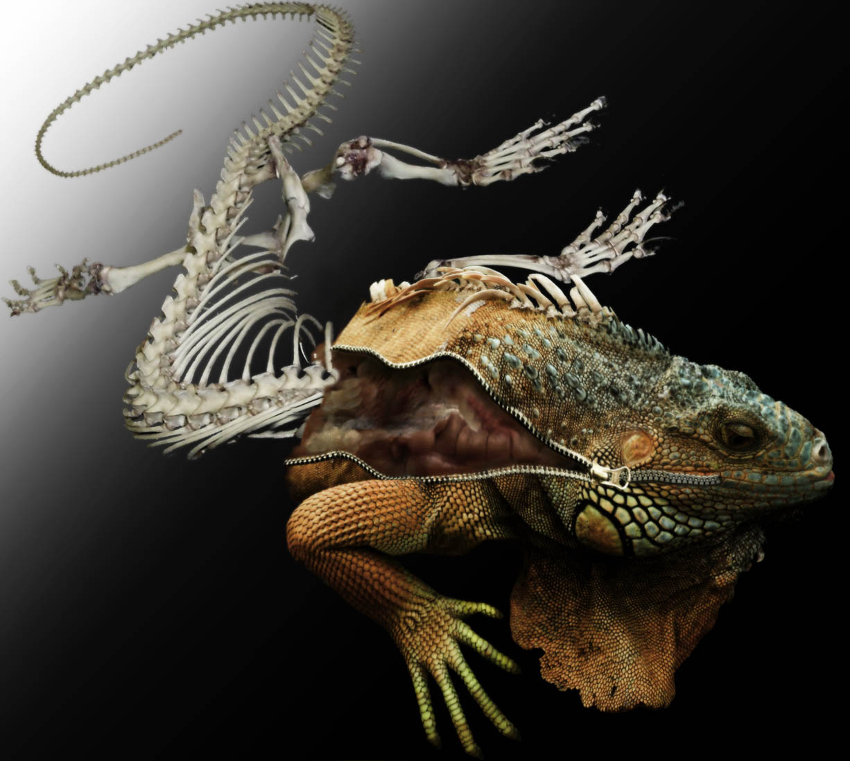 Photoshop Design by lunaryuna for DesignCrowd (Community Contests) | Design #8947548