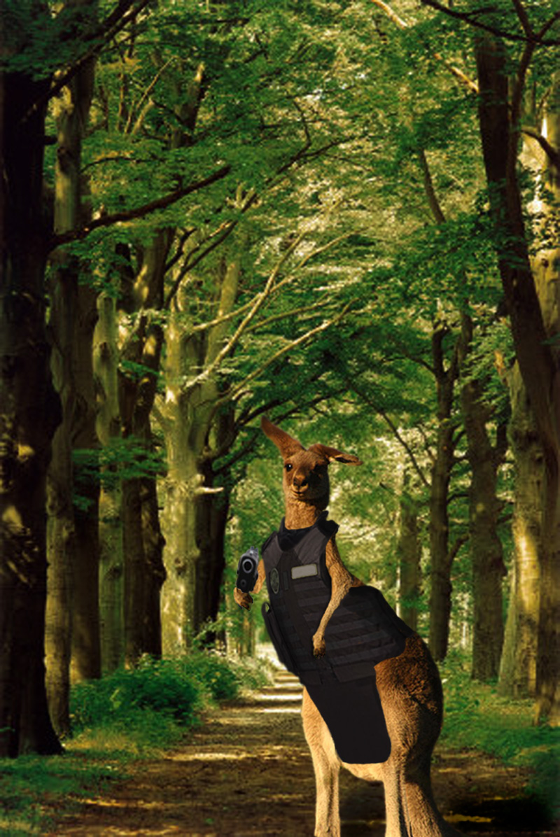 Diseño de Photoshop por bast0573 para DesignCrowd (Community Contests) | Diseño #8945958