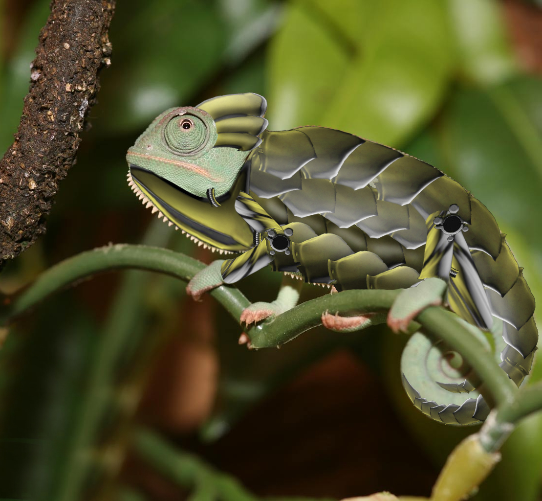 Photoshop-Design von sdbp15 für DesignCrowd (Community Contests) | Design #8945946