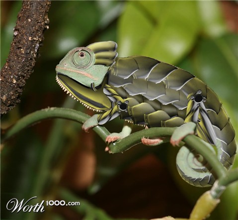 Photoshop Design by sdbp15