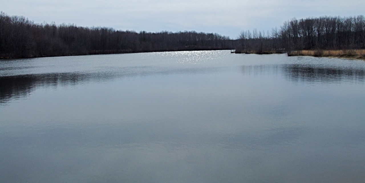 Photography by Audrey Kerchner for DesignCrowd (Community Contests) | Design #8943815