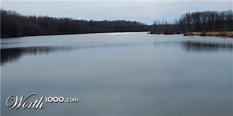 Photography by Audrey Kerchner