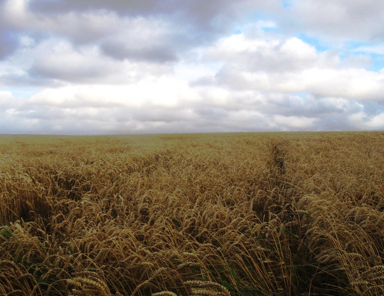 Photographie par KeithLehmann pour DesignCrowd (Community Contests) | Design #8943845