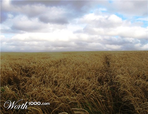 Photography by KeithLehmann