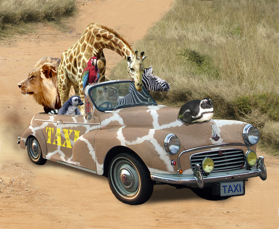 Photoshop-Design von sunny2Day für DesignCrowd (Community Contests) | Design #8945187