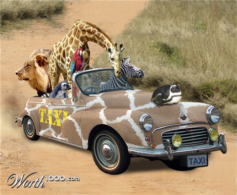 Photoshop Design by sunny2Day