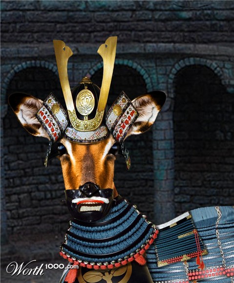 Photoshop Design by stormr