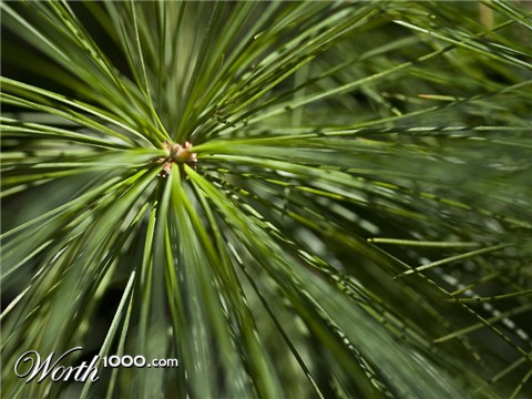 Photography by suram8456