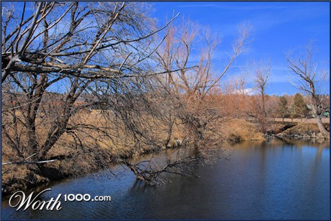 Photography by mmc9496