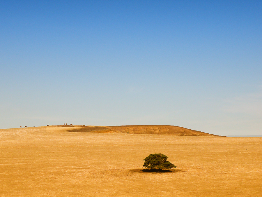 Photography by VICOZ1 for DesignCrowd (Community Contests) | Design #8943838