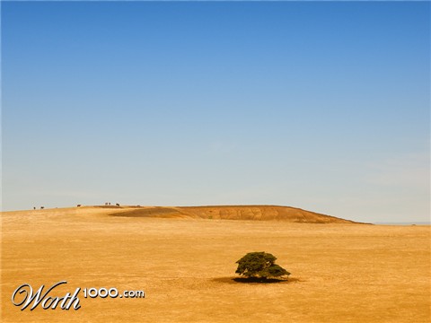 Photography by VICOZ1