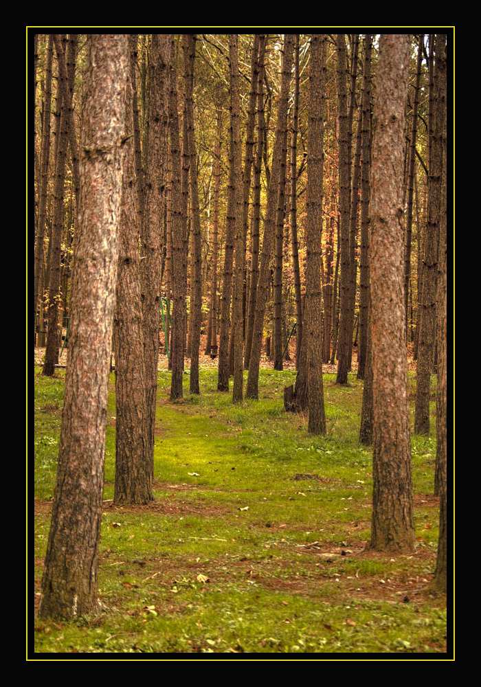 Photography by suram8456 for DesignCrowd (Community Contests) | Design #8956696