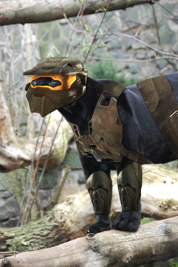 Photoshop Design by Jorgvde for DesignCrowd (Community Contests) | Design #8946064