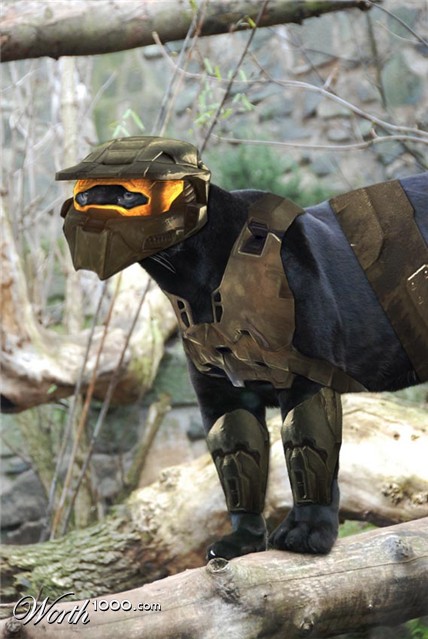 Photoshop Design by Jorgvde