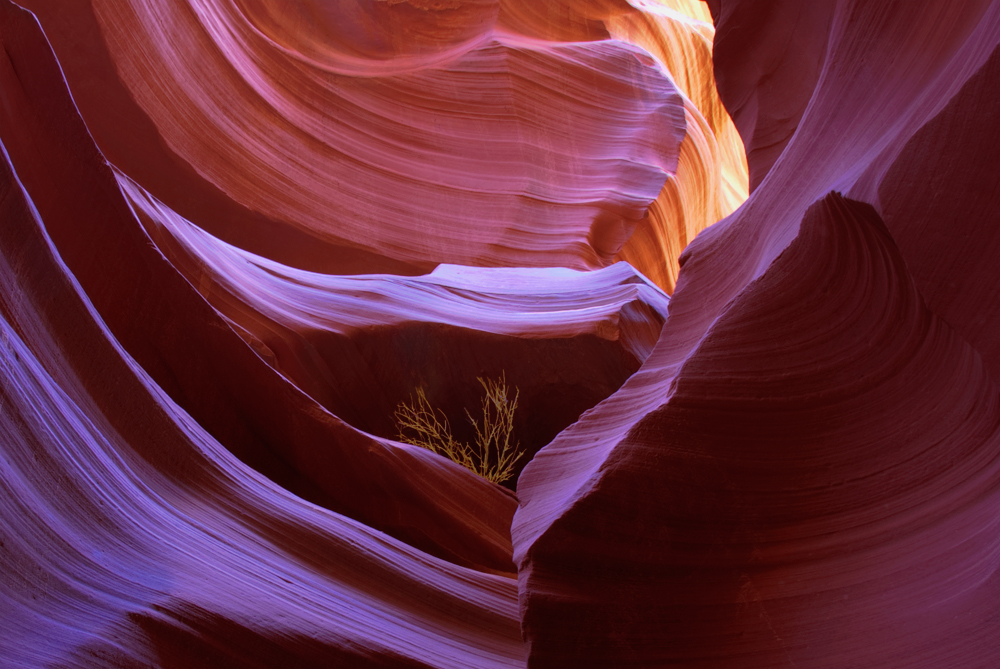 Photographie par squaredd pour DesignCrowd (Community Contests) | Design #8956591