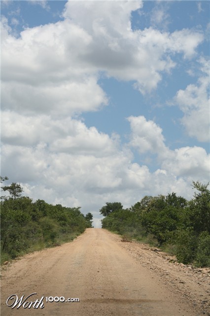 Photography by ConQuisTaDor