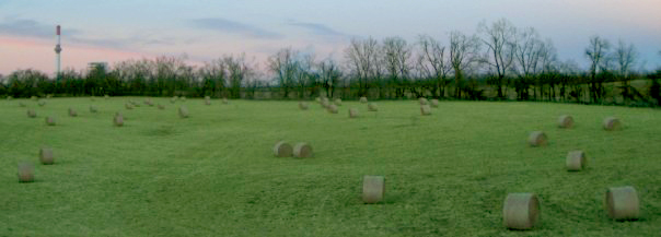 Photographie par brdispatch05 pour DesignCrowd (Community Contests) | Design #8943897