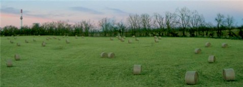 Photography by brdispatch05