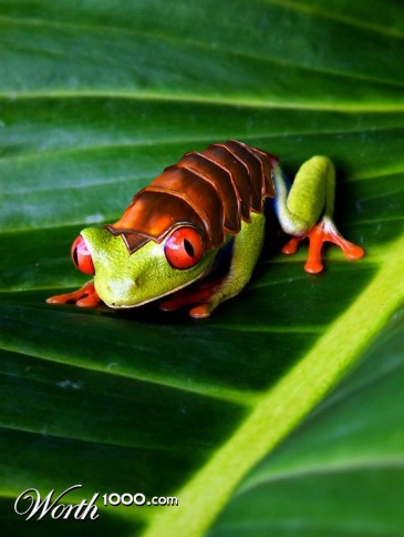 Photoshop Design by Nonian