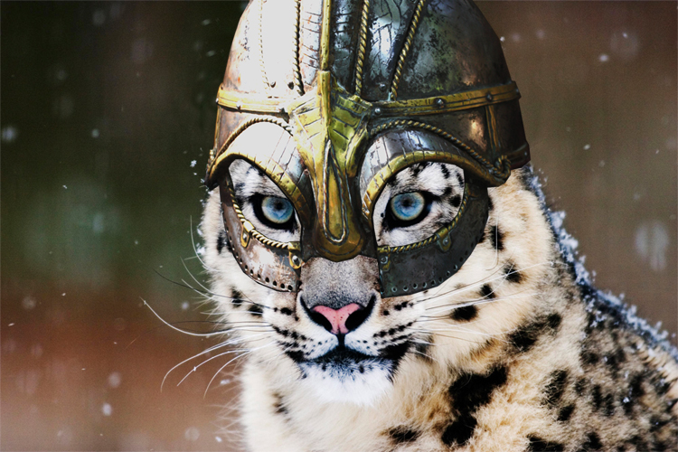 Diseño de Photoshop por jakarw para DesignCrowd (Community Contests) | Diseño #8946073