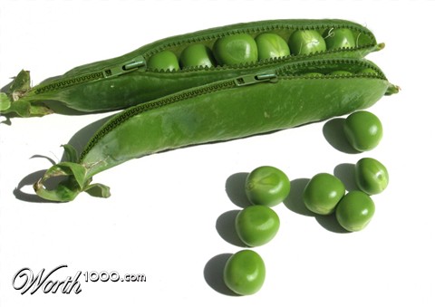 Photoshop Design by castiza