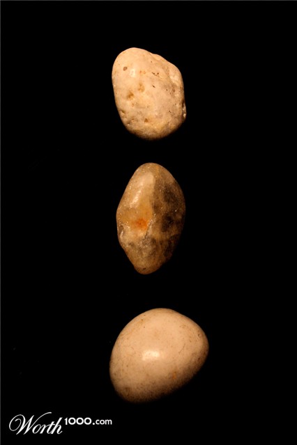 Photography by heidiinc