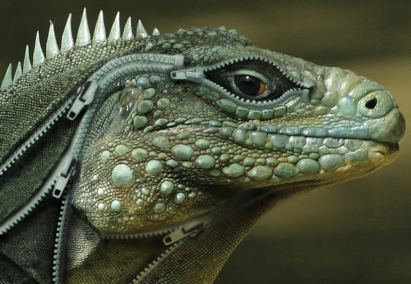 Design Photoshop par GeshaR pour DesignCrowd (Community Contests) | Design #8947690