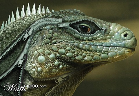 Photoshop Design by GeshaR