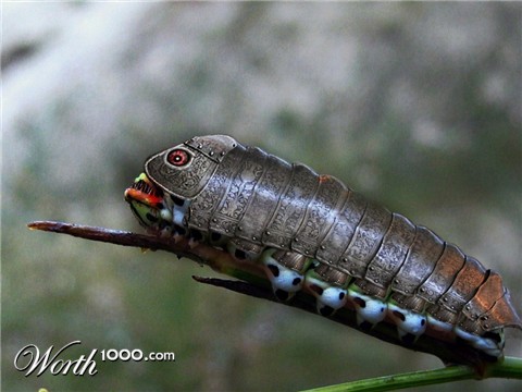 Photoshop Design by Evilmaan